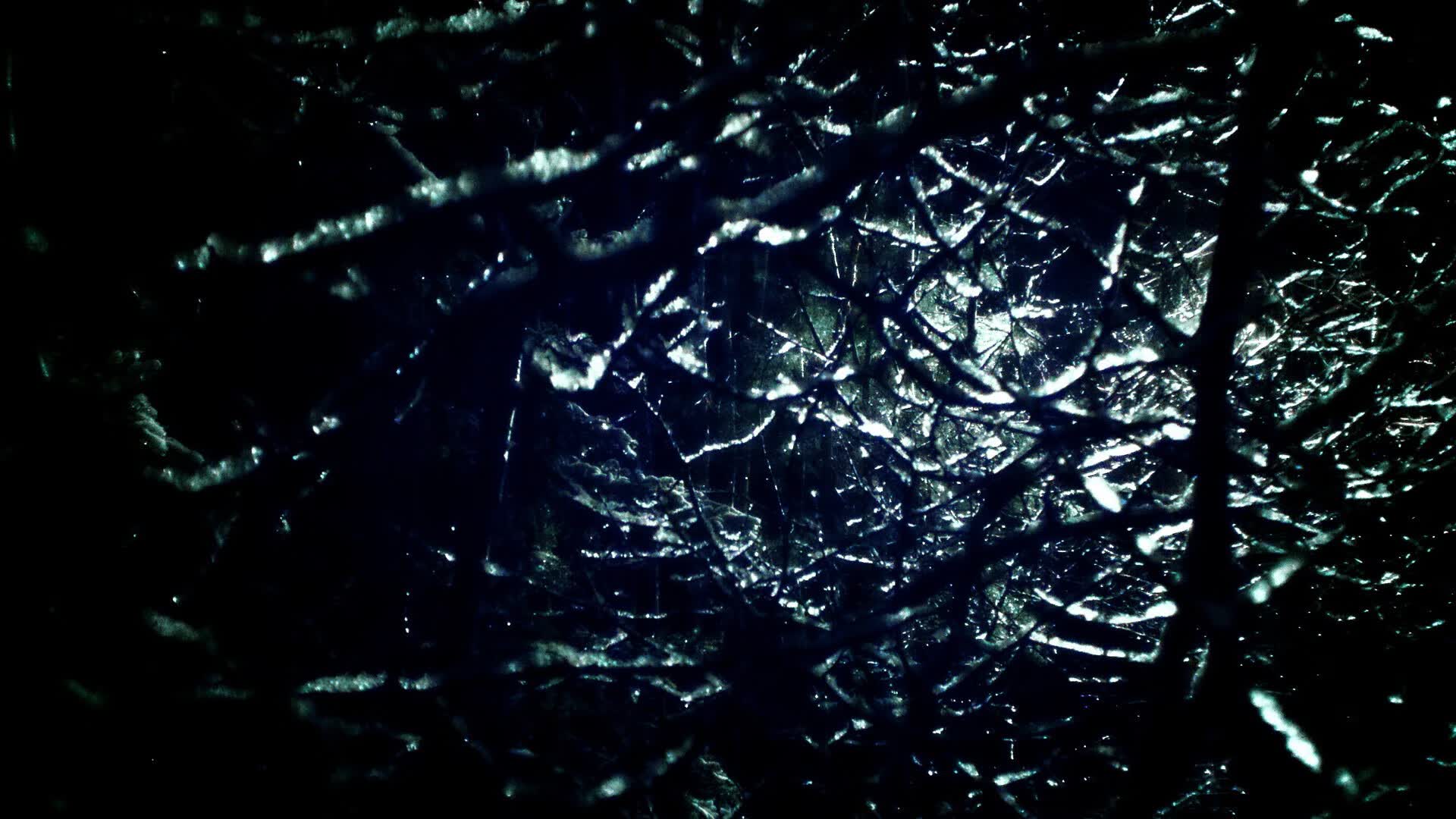 世界体操开放赛:创新元素与动作稳定性并重获高分,世界体操联赛
