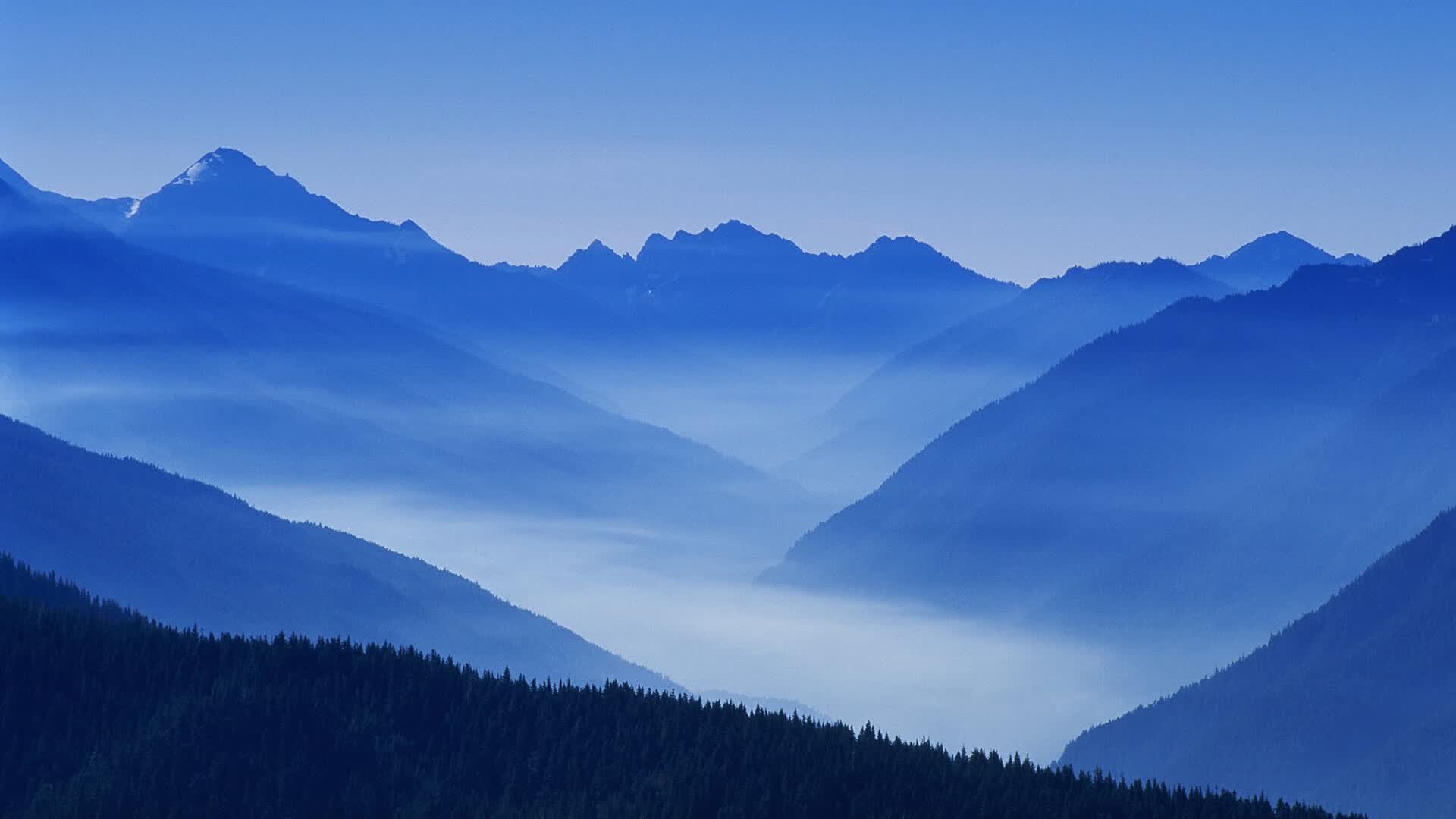 世界杯与街头艺术:南美贫民窟的足球壁画,足球主题壁画